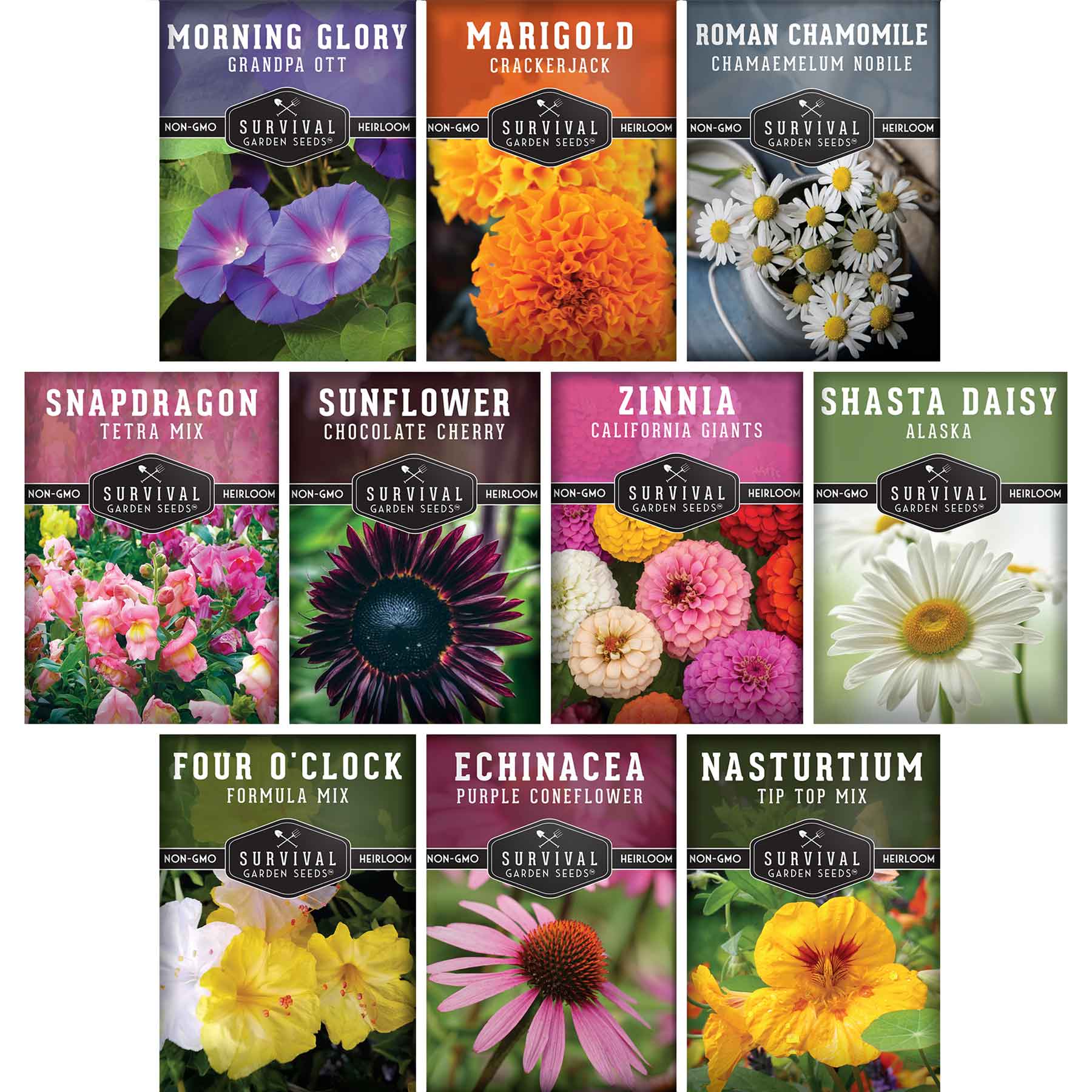 10 Flower Seed Collection - 10 Colorful & Useful Flower Varieties (SC)