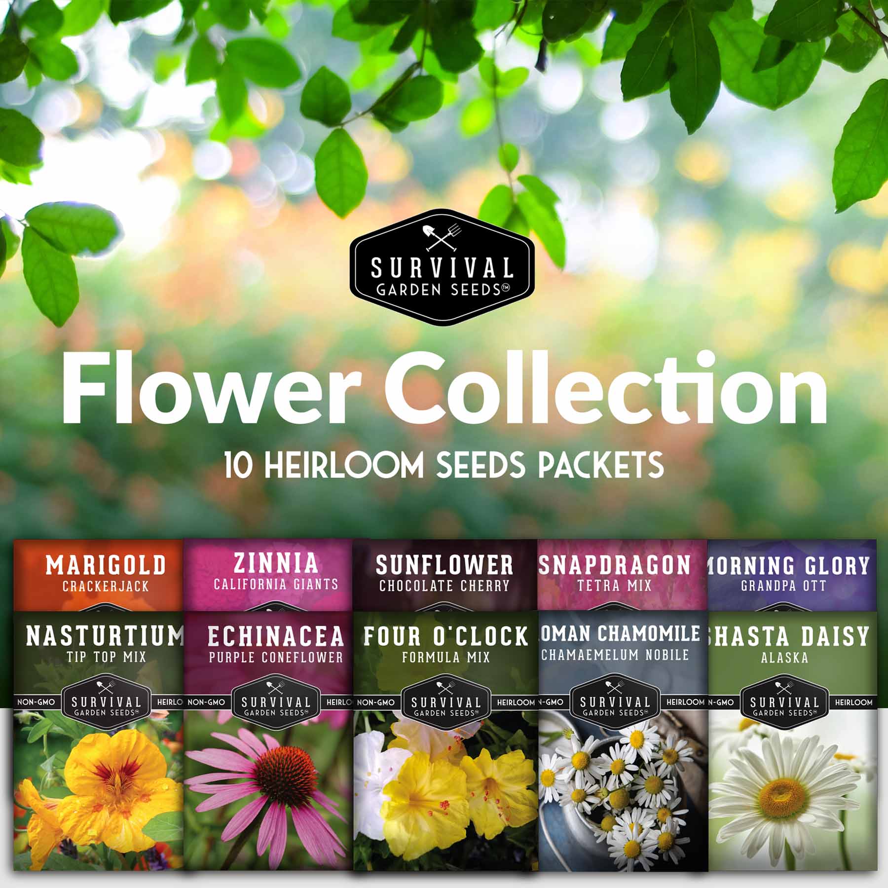 10 Flower Seed Collection - 10 Colorful & Useful Flower Varieties (SC)