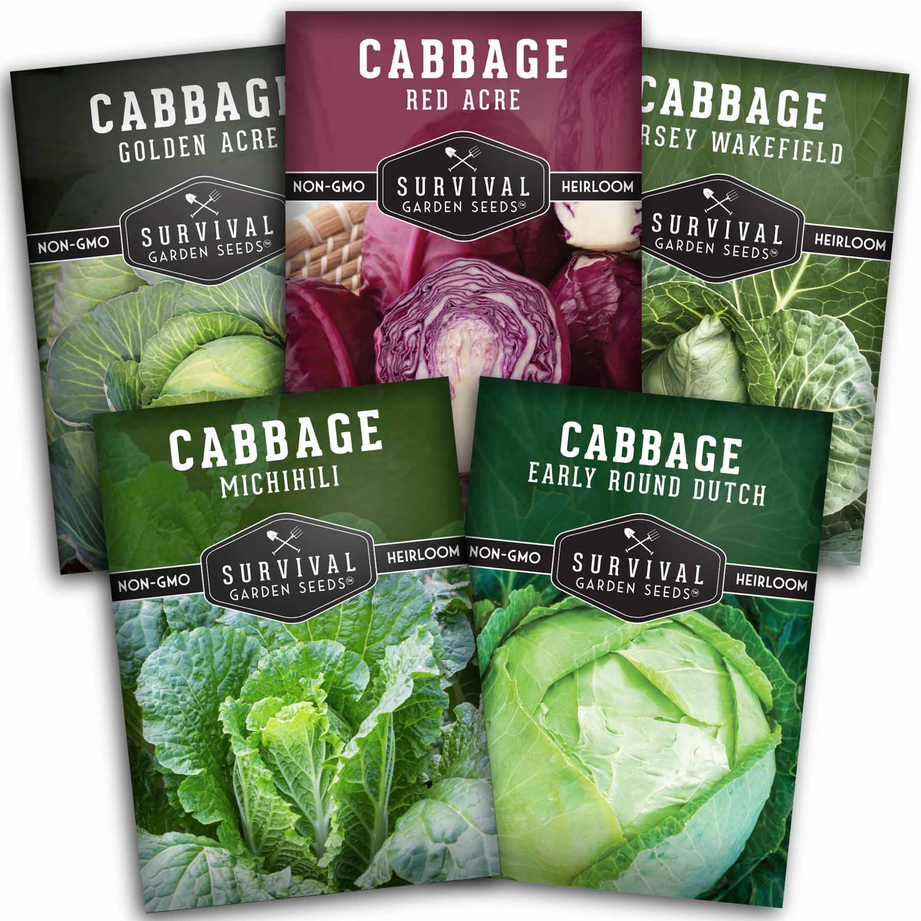 heirloom seeds survival garden 5 Heirloom Cabbage Seeds Collection
