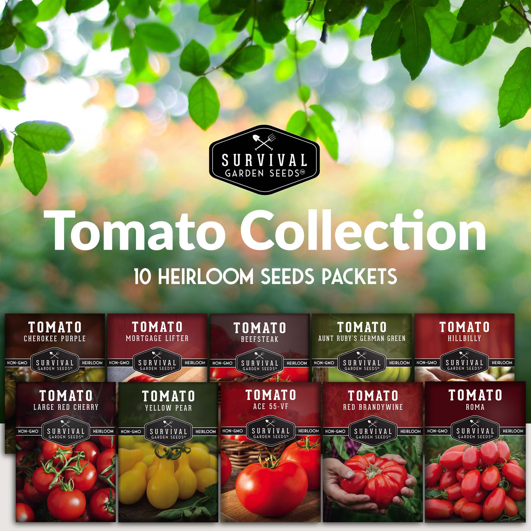 10 Tomato Seed Collection - A Rainbow of Heirloom Tomato Varieties (SC)
