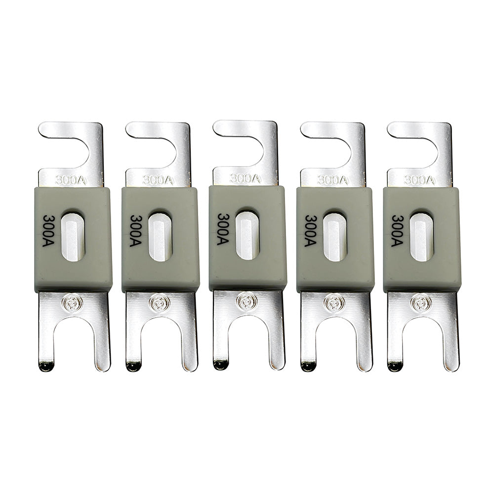 Victron ANL-Fuse 300A/80V f/48V Products (Package of 5) [CIP143300020] (SC)