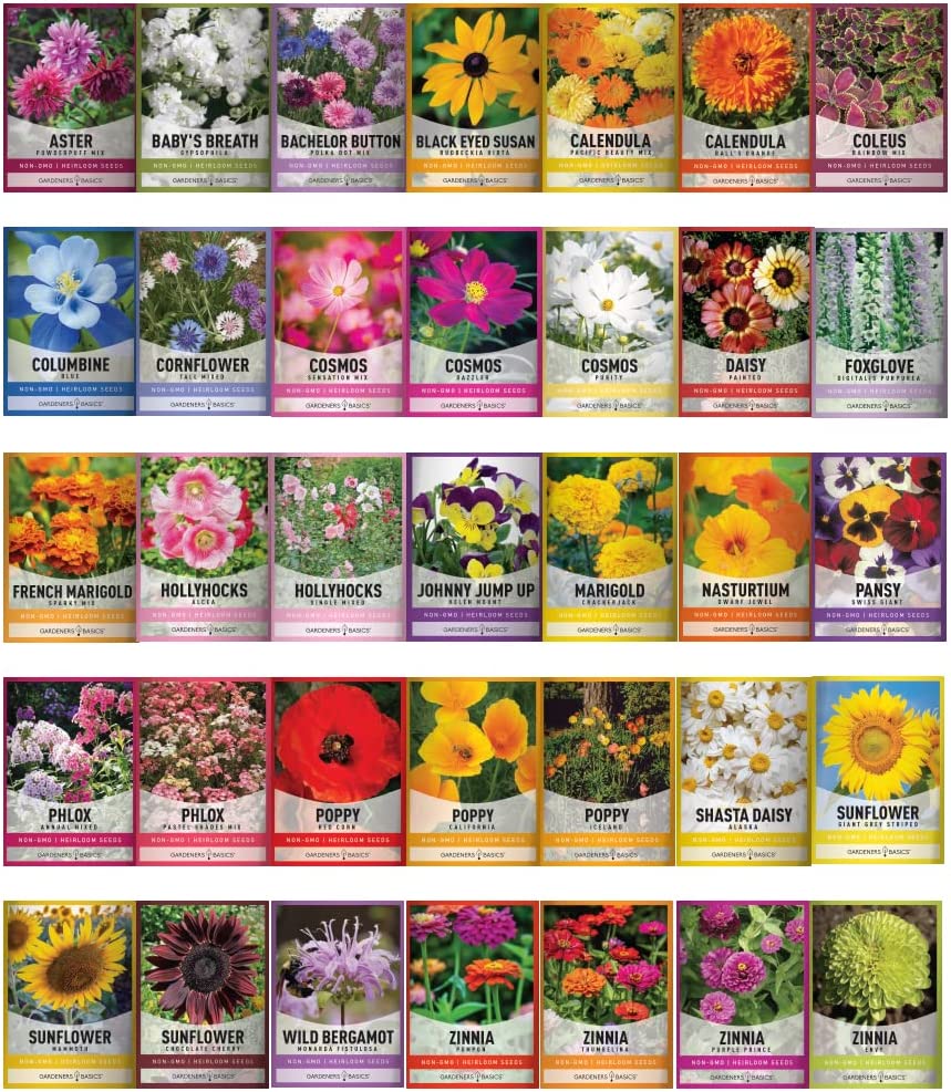 Gardening Seeds Kit - 105 Varieties of Vegetable, Fruit, Herb, and Flower Seeds (SC)