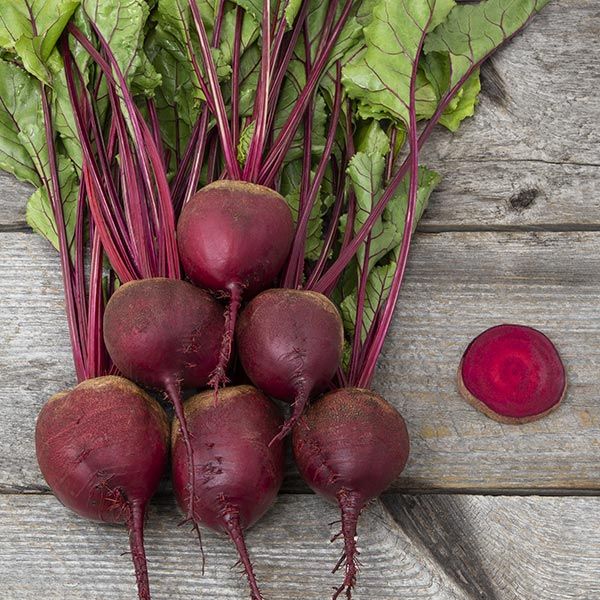 Red Ace F1 Beet (SC)