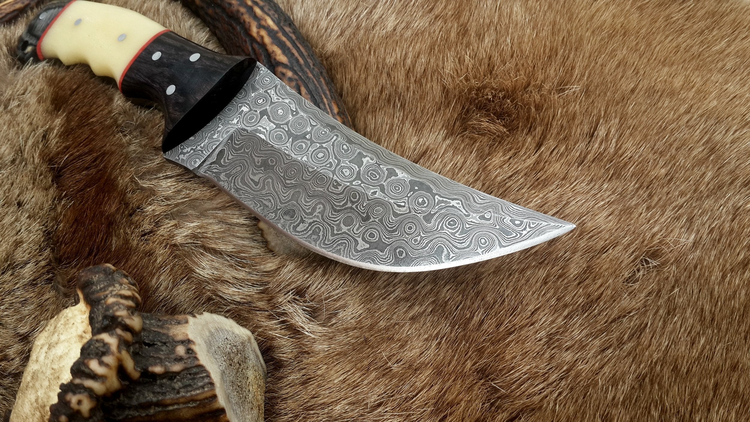 The Master Hunter: Custom Handmade Damascus Steel Fixed-Blade Hunting Knife | Camel Bone & Exotic Wood | 10 Inches | KBS Knives (SC)