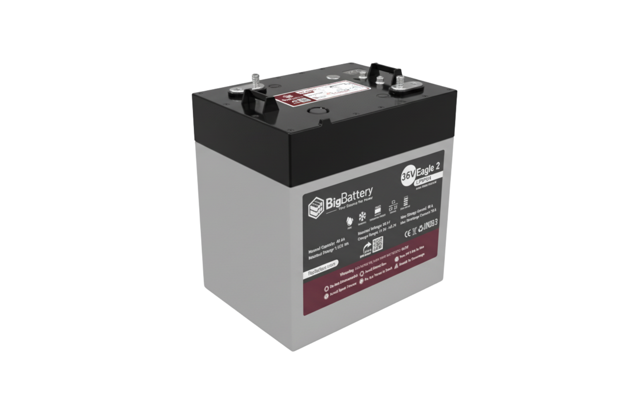 BigBattery 36V EAGLE2 1.63 kWh LiFePO4 Battery with Heater and Comms (SC)