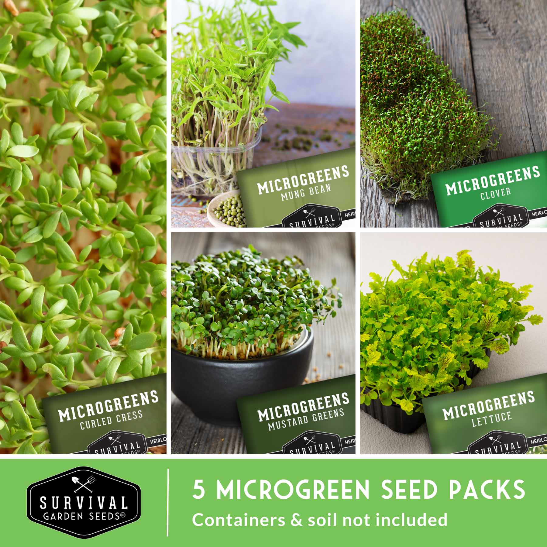 micro plant seeds 5-Pack Heirloom Microgreens Seeds – Non-GMO