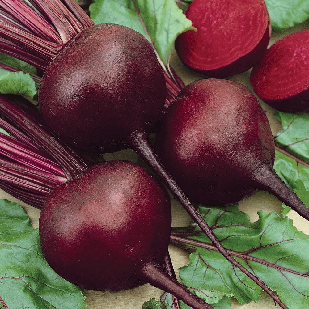 Detroit Dark Red Beet (SC)