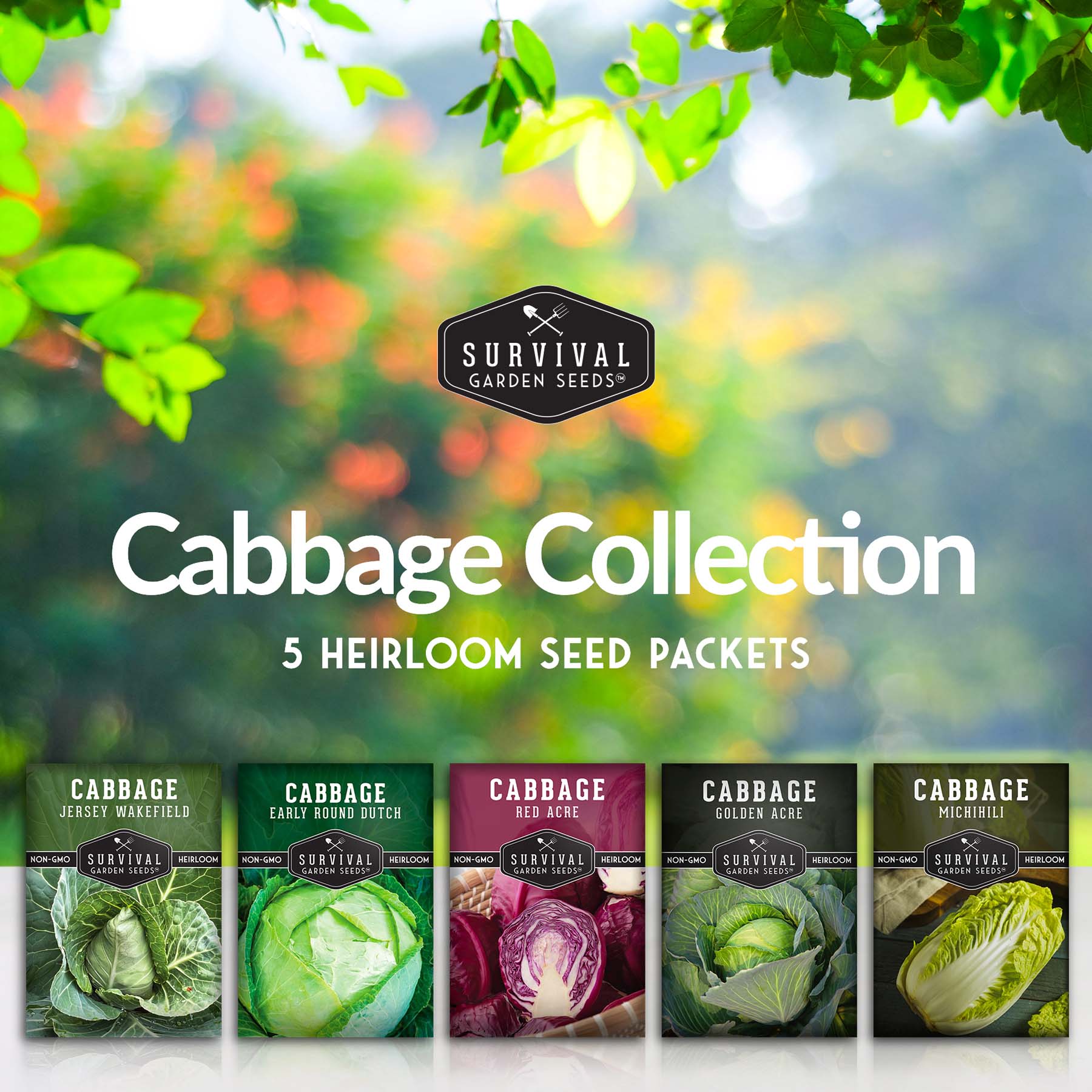 Cabbage Seed Collection - Red Acre, Golden Acres, Jersey Wakefield, Early Round Dutch & Michihili (Napa) (SC)