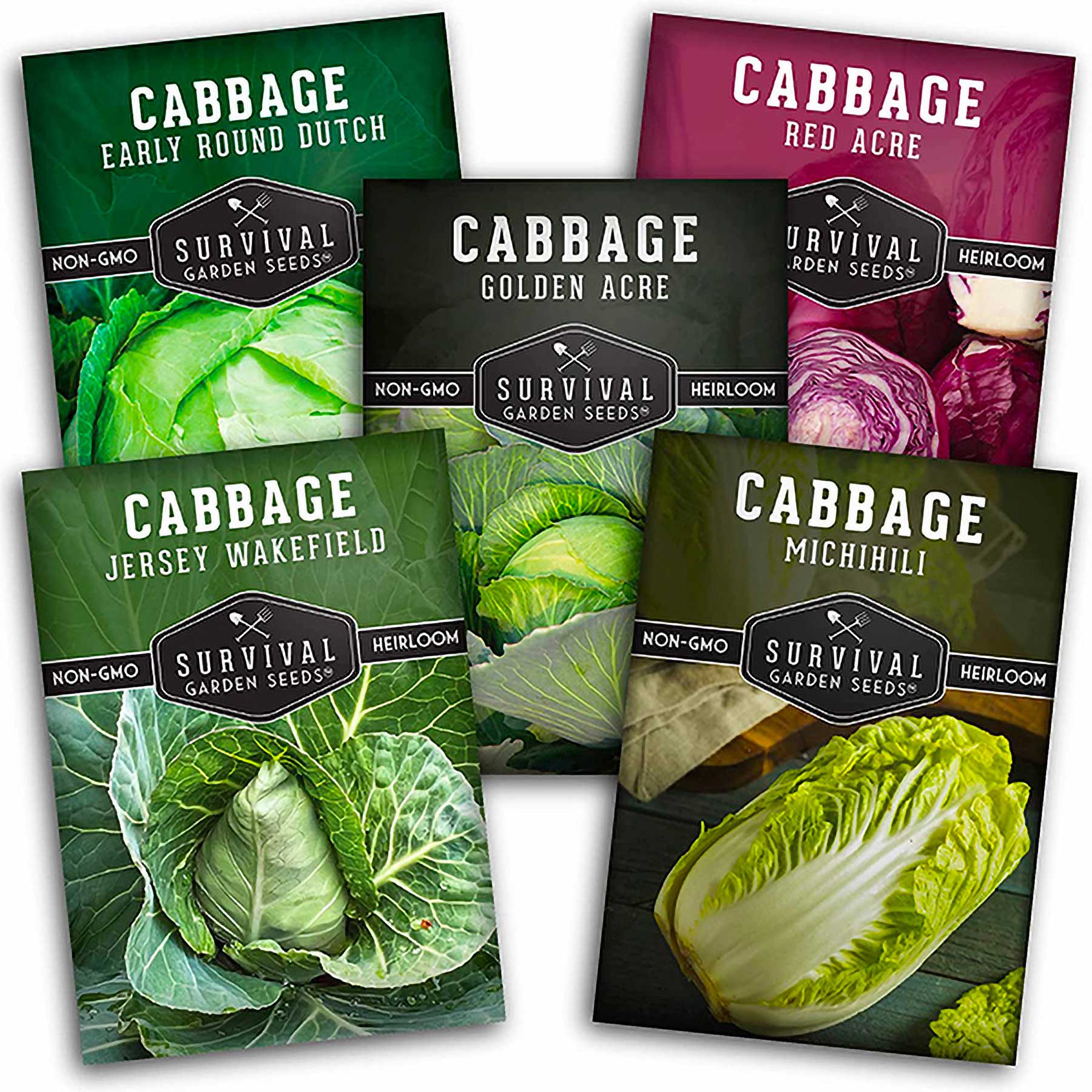 Cabbage Seed Collection - Red Acre, Golden Acres, Jersey Wakefield, Early Round Dutch & Michihili (Napa) (SC)