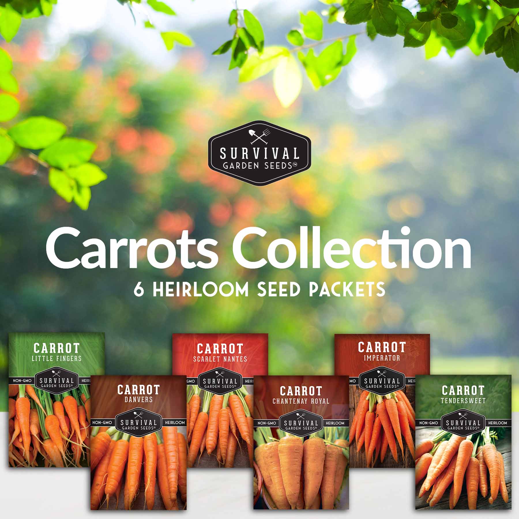 Carrots Collection - Scarlet Nantes, Imperator, Little Fingers, Chantenay Royal, Danvers and Tendersweet (SC)