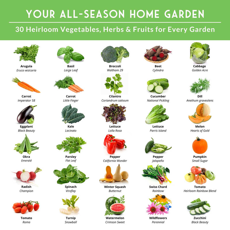 heirloom garden seed kit Home Garden 30 Seed Packet Collection