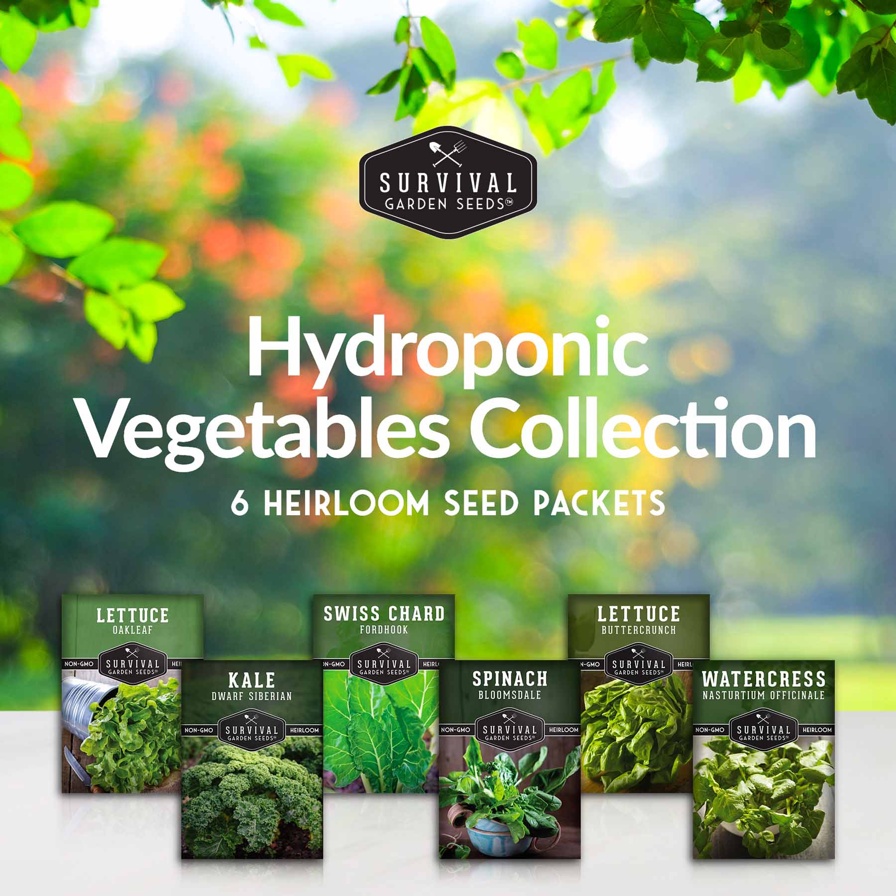 Hydroponic Vegetable Seed Collection (SC)