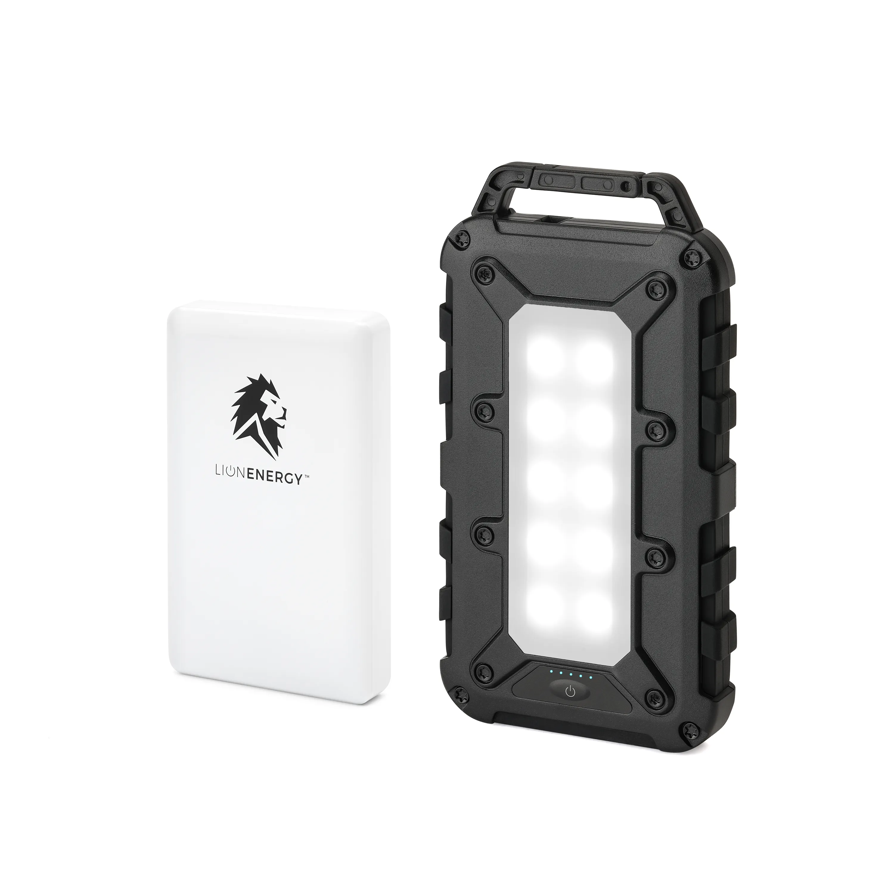 Lion Energy Power Bank Bundle (SC)