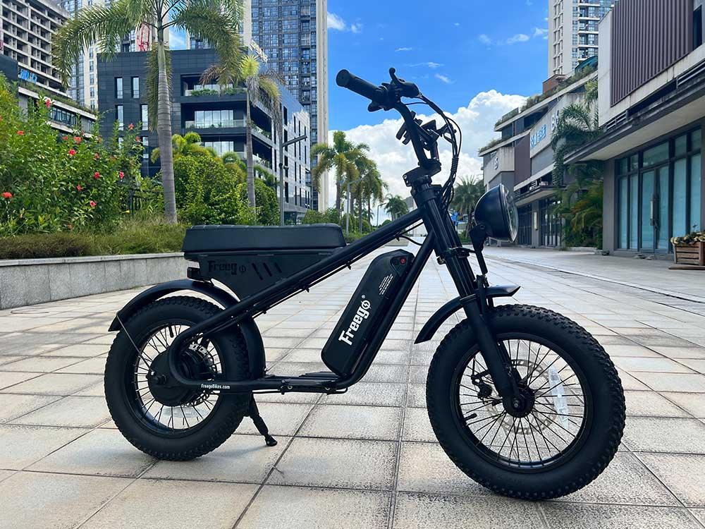 Freego Mini Fat Tire Electric Bike (SC)