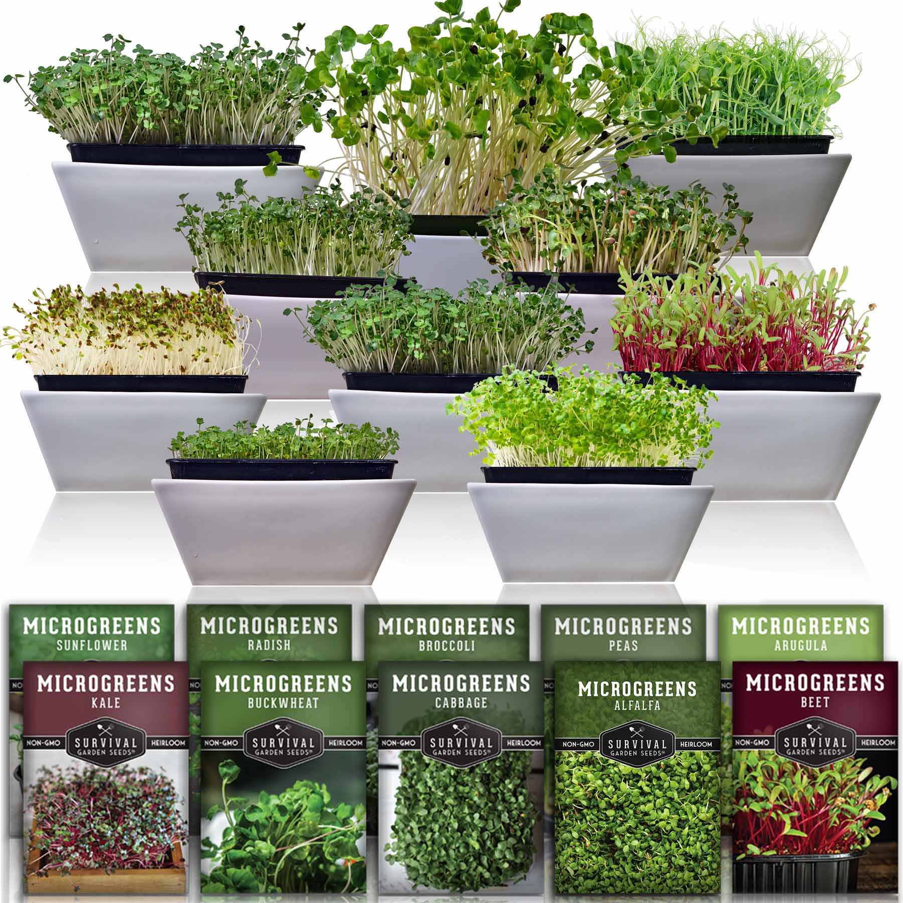 Microgreens 10 Variety Seed Kit (SC)
