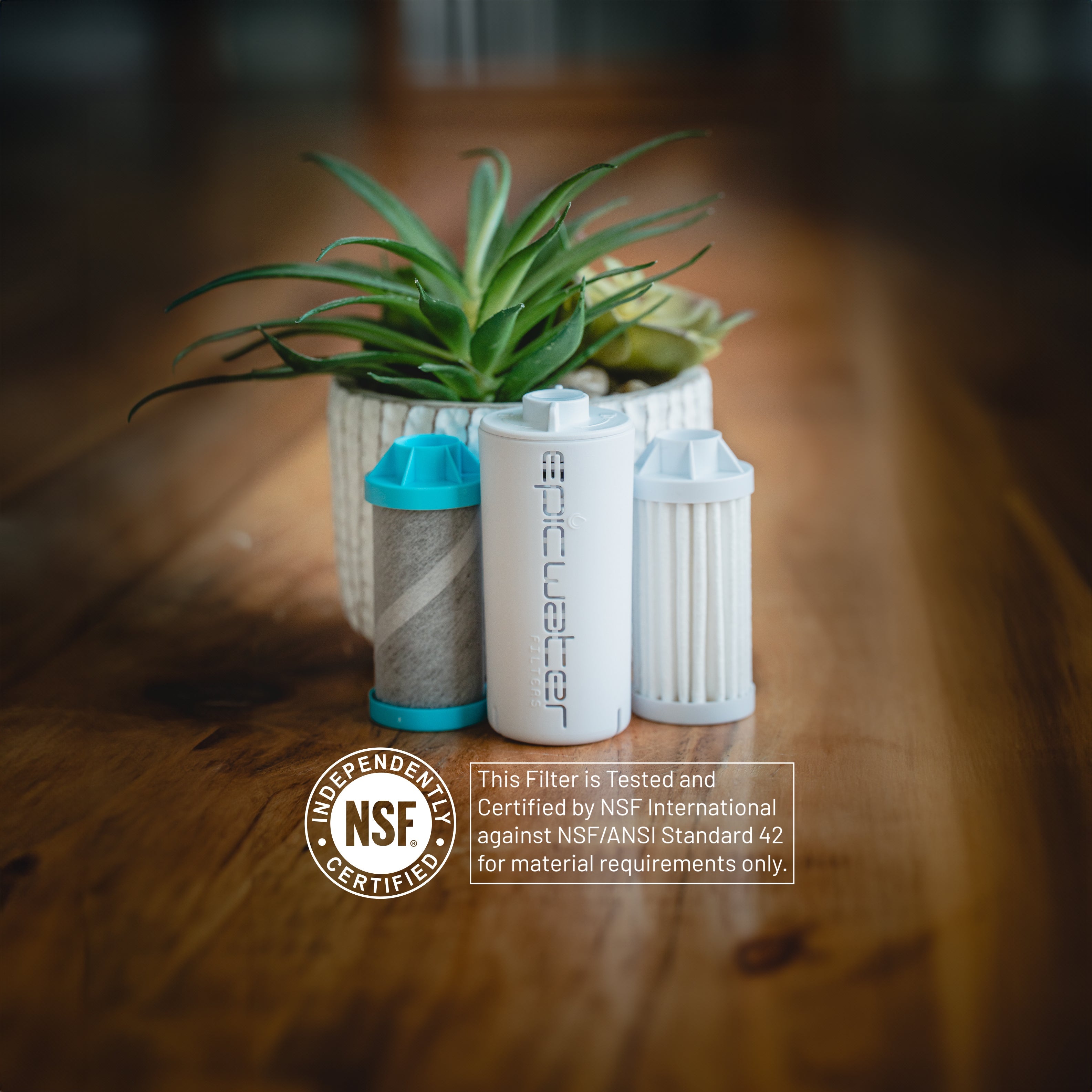 Nalgene OG Turtle | 24oz