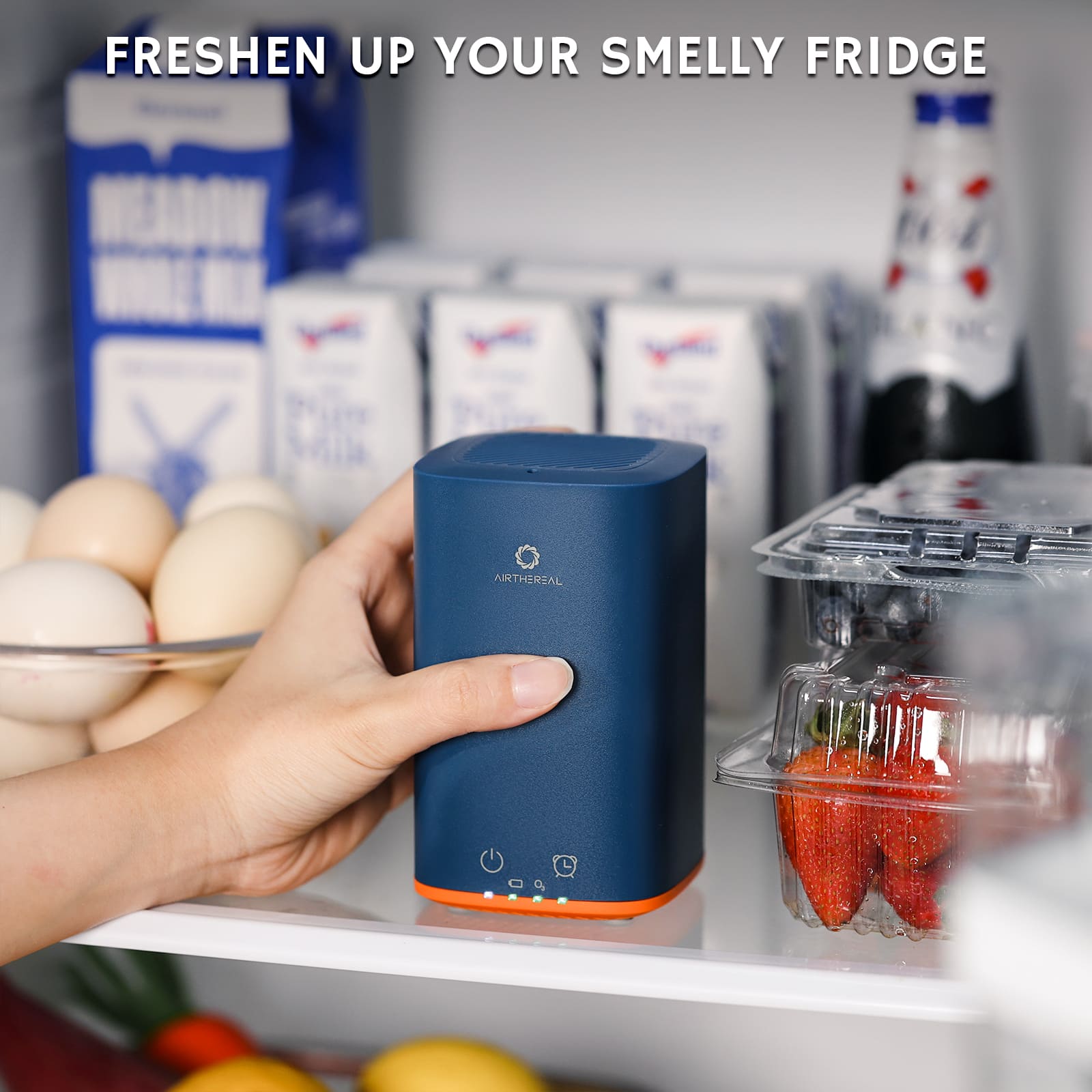 PA300-GO Portable Ozone Generator (SC)