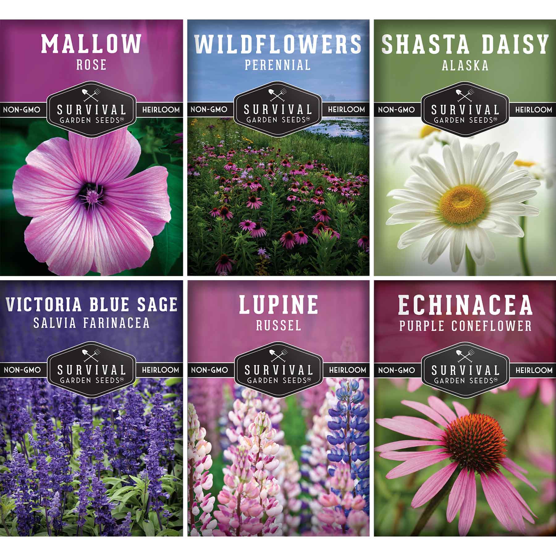 Perennial Flowers Mix - Shasta Daisy, Echinacea, Russell Lupine, Rose Mallow, Blue Sage, and Perennial Wildflower Mix (SC)