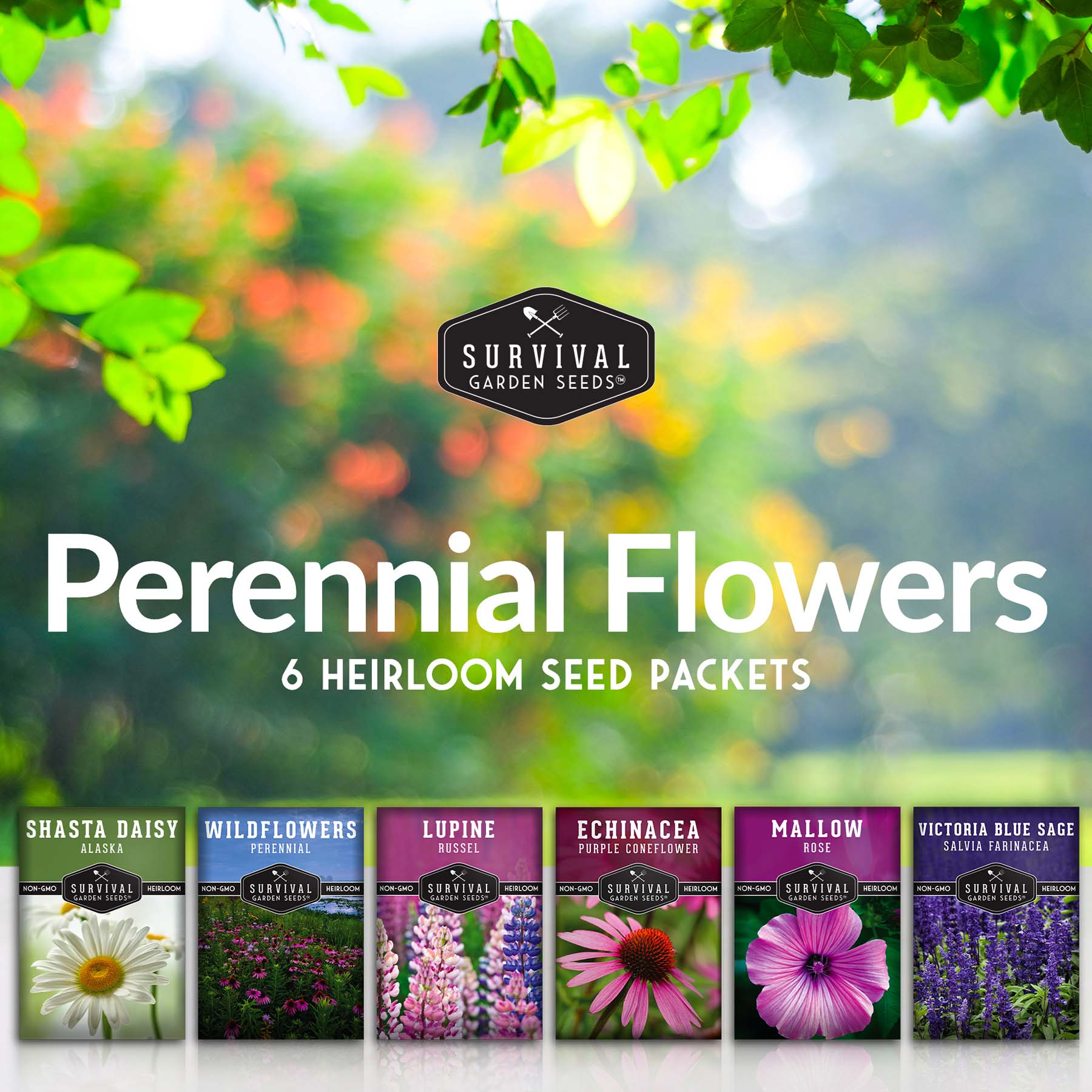 buying flower seeds Perennial Flowers Mix 6 Seed Pack - Shasta Daisy, Echinacea, Russell Lupine, Rose Mallow, Blue Sage, Wildflowers