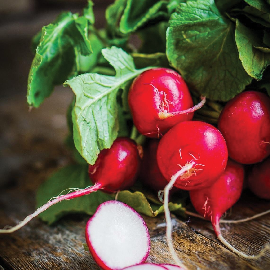 Cherry Belle Radish (SC)