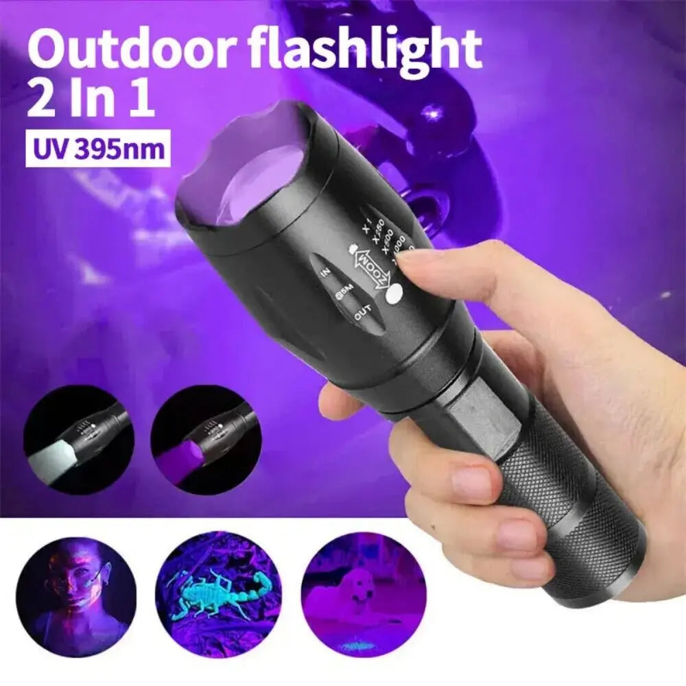 2 in 1 UV Flashlight 395nm Type C Rechargeable Blacklight Pet Stain Detection