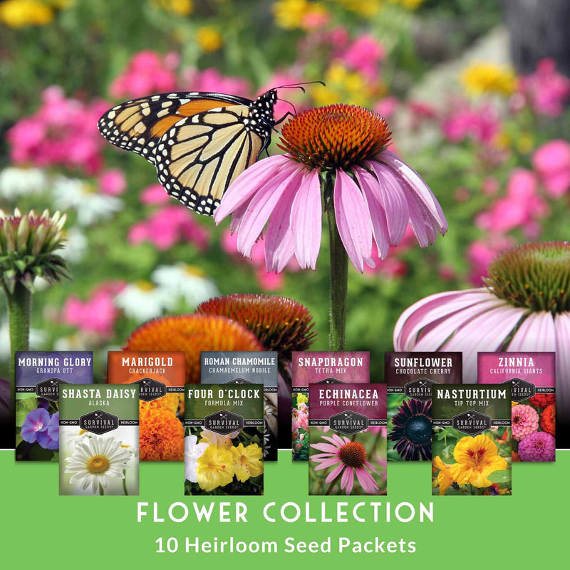 good quality flower seeds 10 Heirloom Flower Seeds Collection