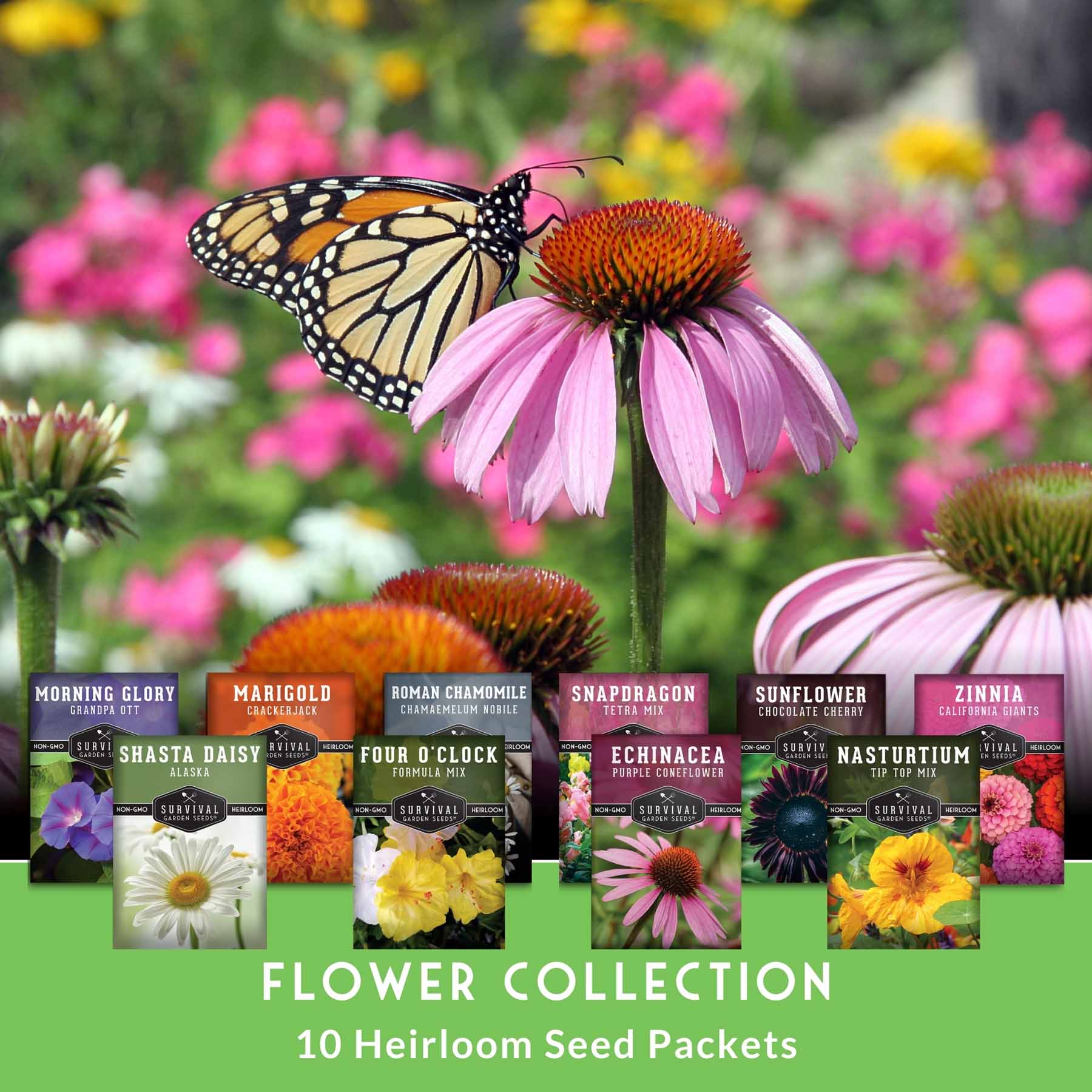 10-Variety Heirloom Flower Seed Collection – Non-GMO Annuals & Perennials for Colorful, Pollinator-Friendly Gardens
