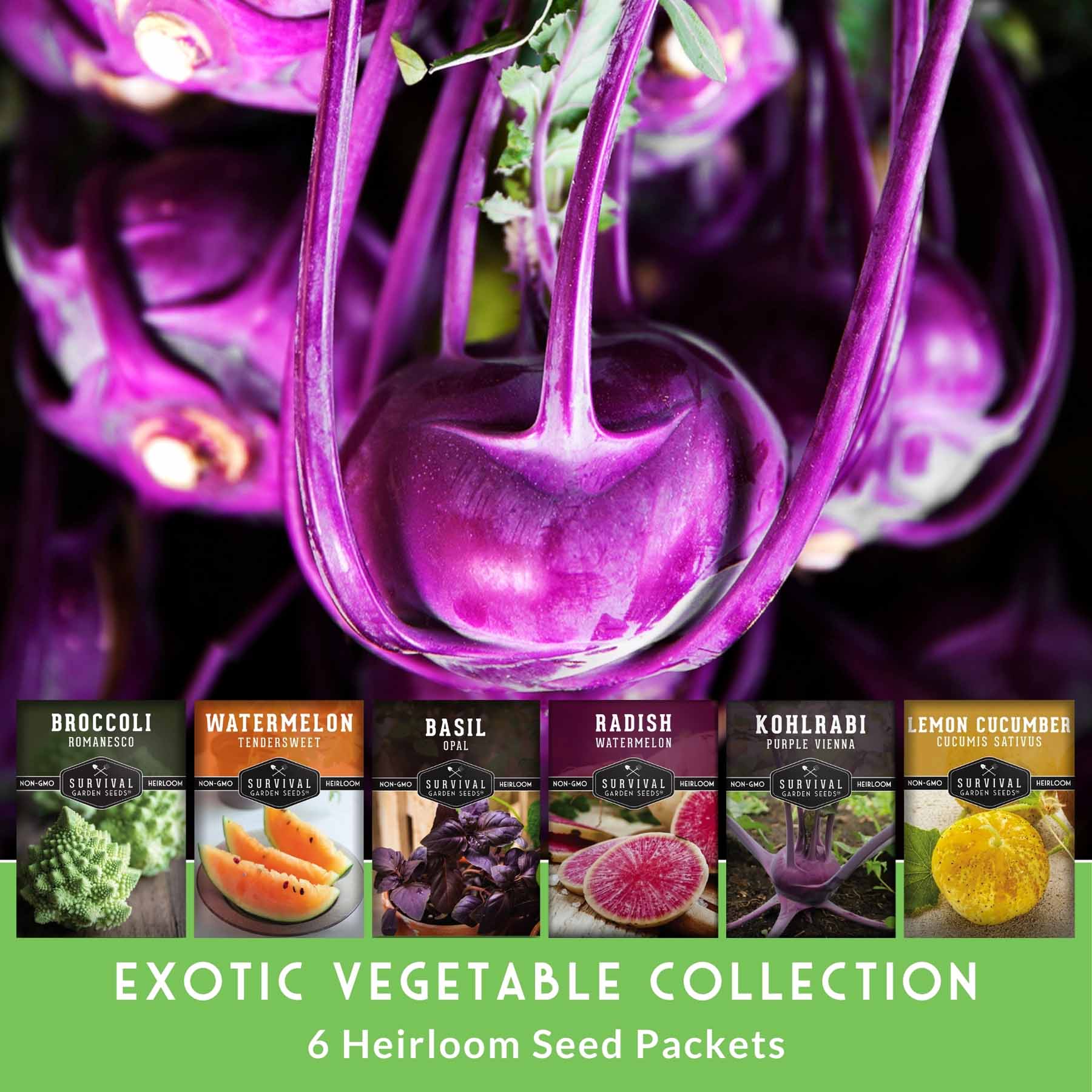 fruit garden seeds Survival Garden Seeds Rare Exotic Vegetable and Fruit 6 Packet Seed Collection one_size