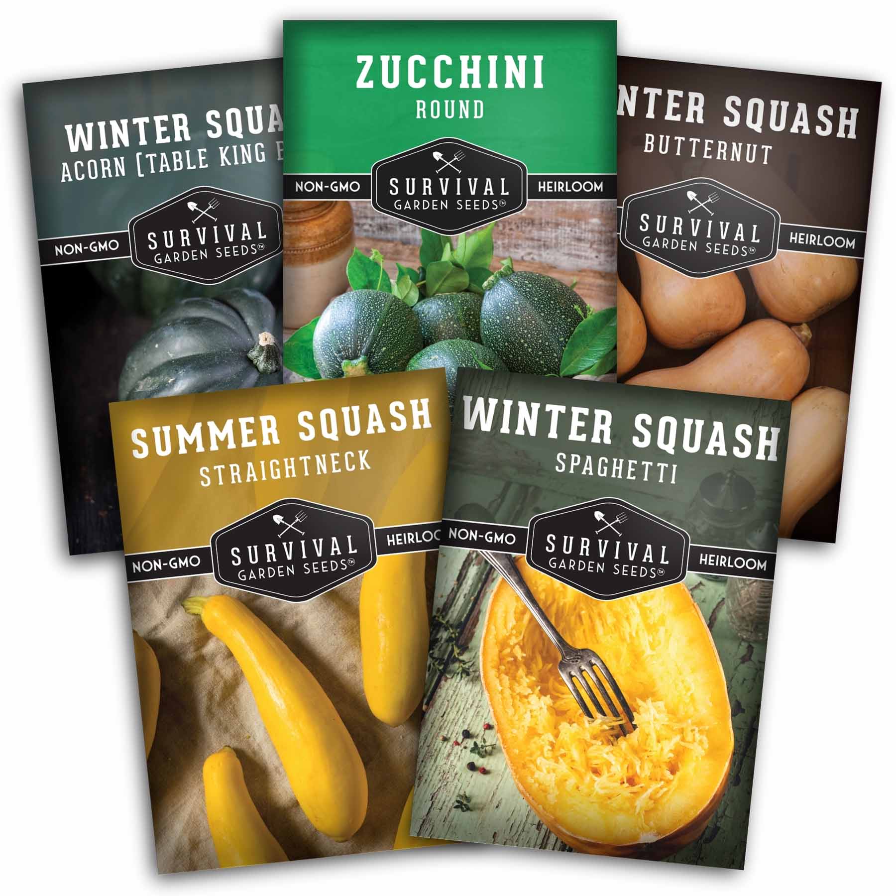 Squash Seed Collection – Zucchini, Yellow Summer, Butternut, Spaghetti