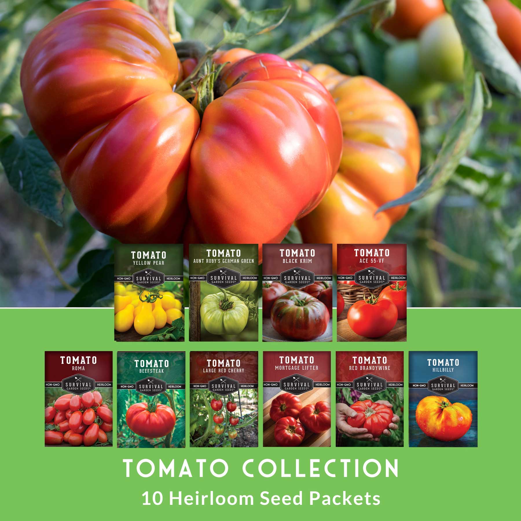 10 Tomato Seed Collection – Heirloom Mix