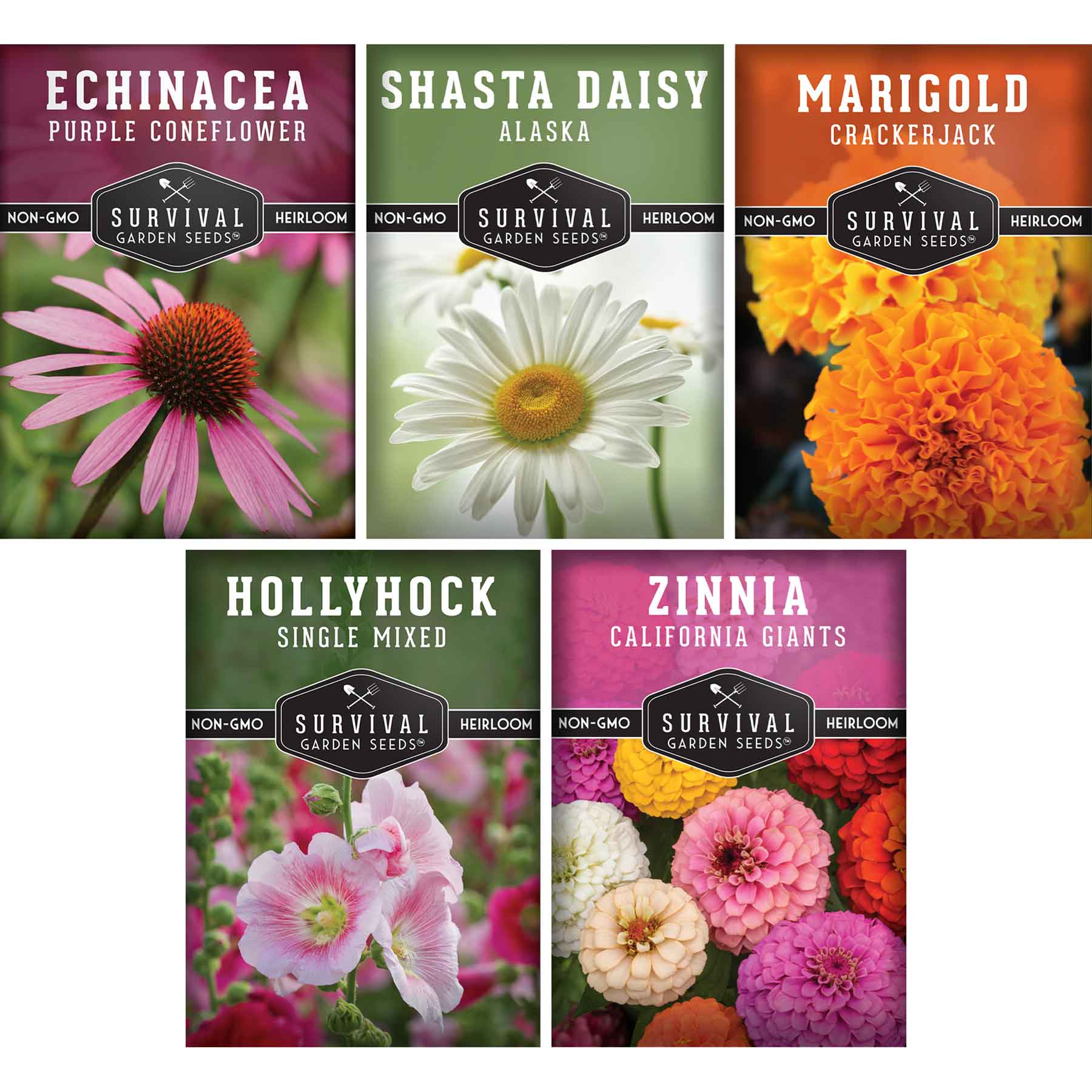 5 Flower Seed Collection - Hollyhock, Shasta Daisy, Coneflower (Echinacea), Marigold, Zinnia (SC)