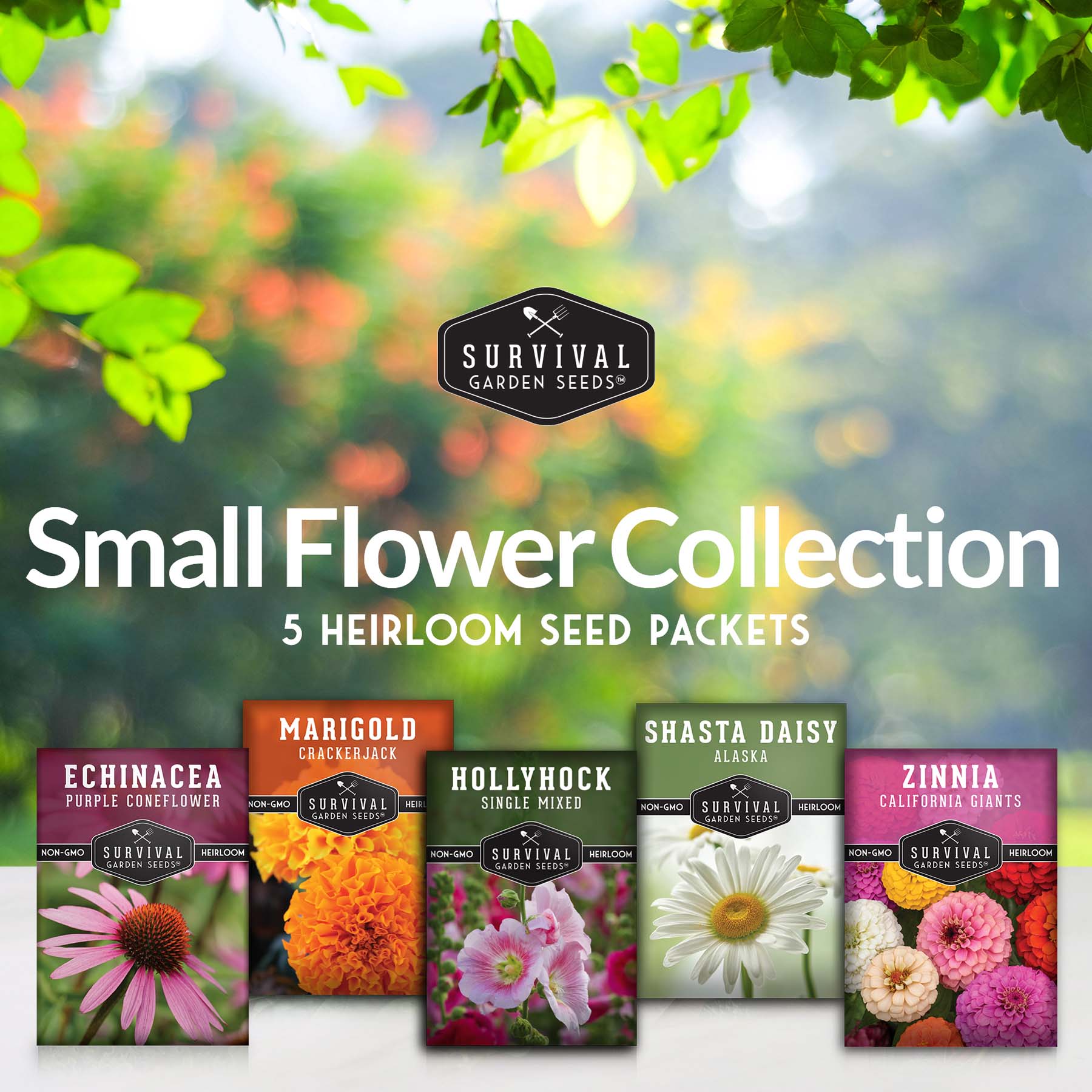 5 Flower Seed Collection - Hollyhock, Shasta Daisy, Coneflower (Echinacea), Marigold, Zinnia (SC)