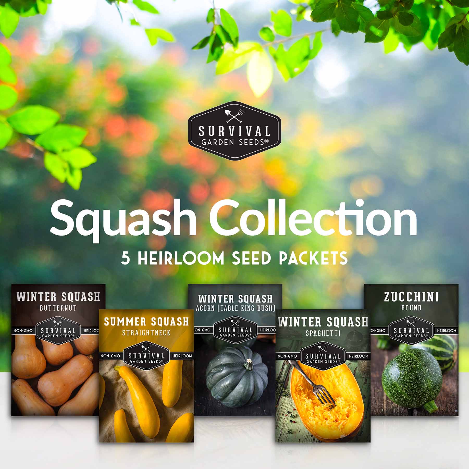 Squash Seed Collection - Winter & Summer Squash (SC)