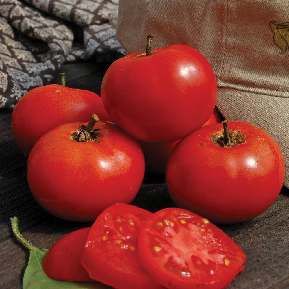 Crimson Sprinter Tomato (SC)