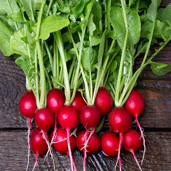 Cherry Belle Radish (SC)