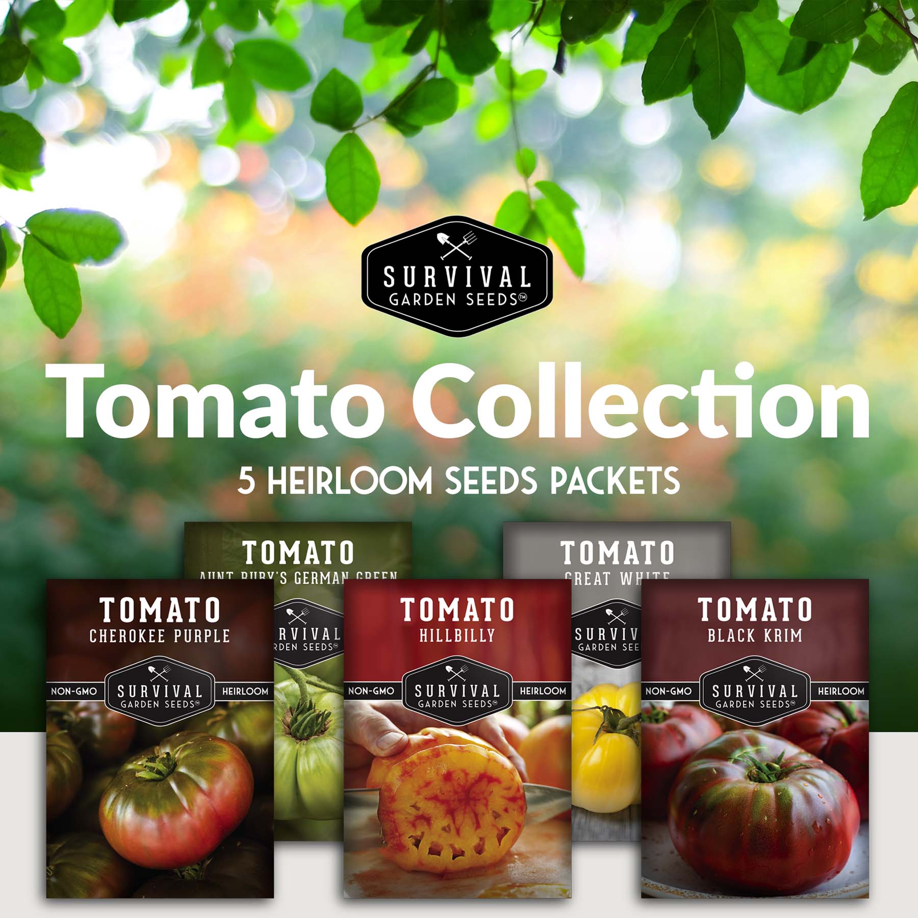Colorful Tomato Collection - Black Krim, Great White, Aunt Ruby’s German Green, Hillbilly & Cherokee Purple (SC)