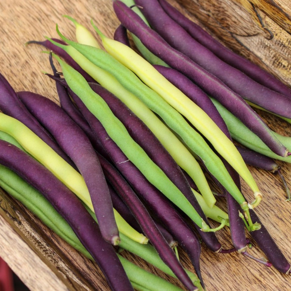 Tri-color Green Bean Mix (SC)