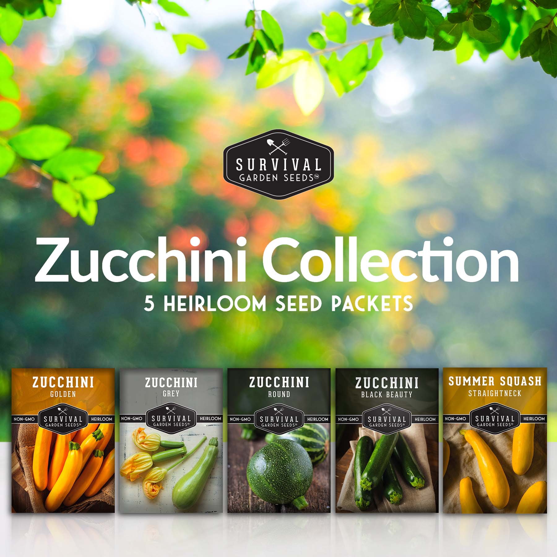 Zucchini & Squash Collection - Golden, Round, Black Beauty, Straight Neck Summer Squash (SC)