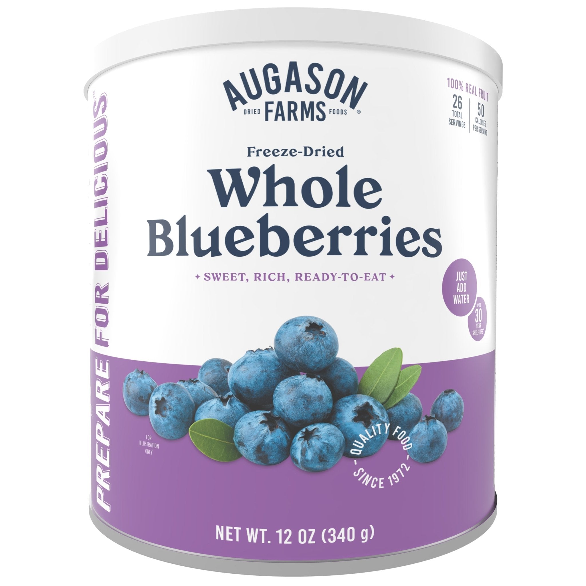 Freeze Dried Whole Blueberries Can, 26 Servings (SC)