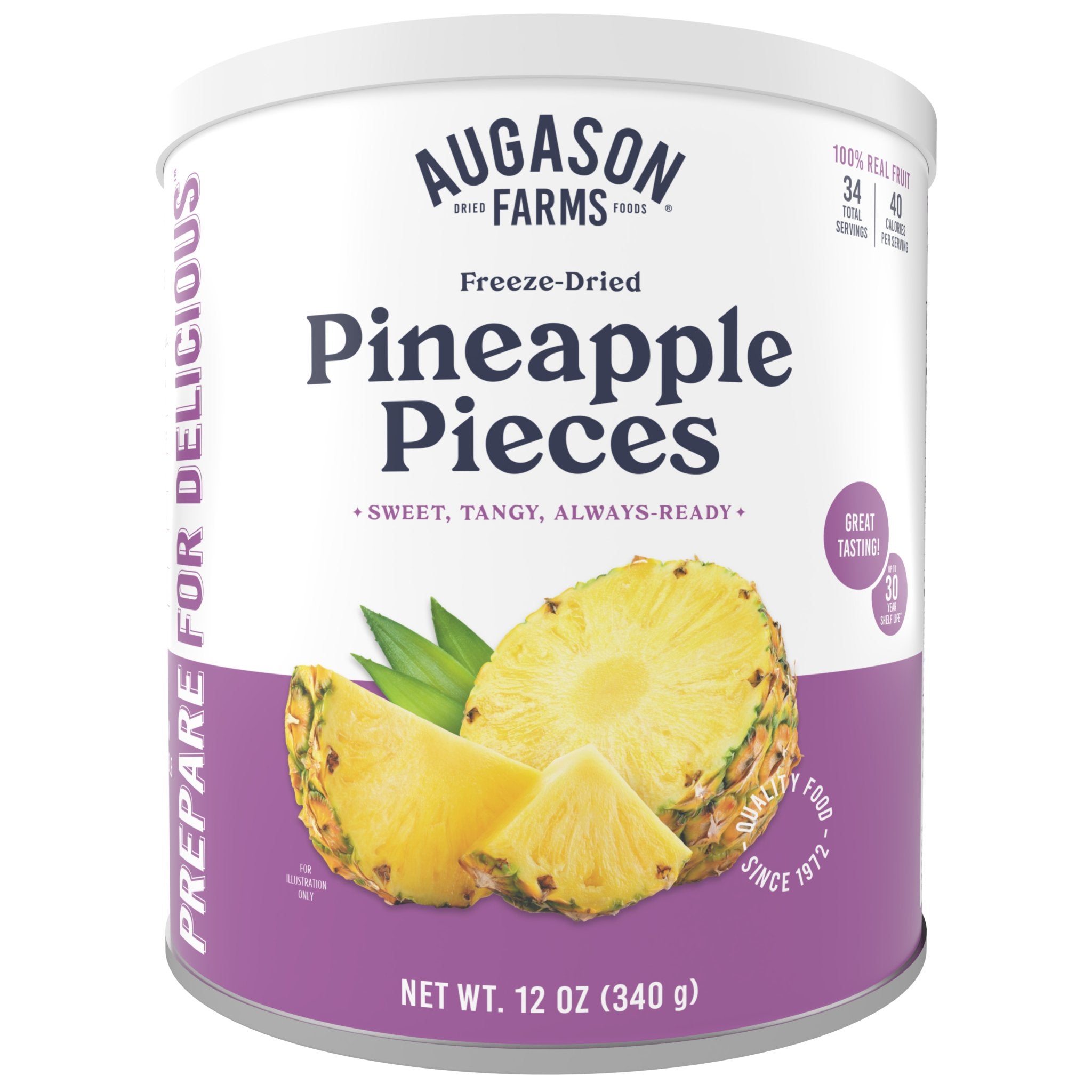 Freeze Dried Pineapple Pieces Can, 34 Servings (SC)