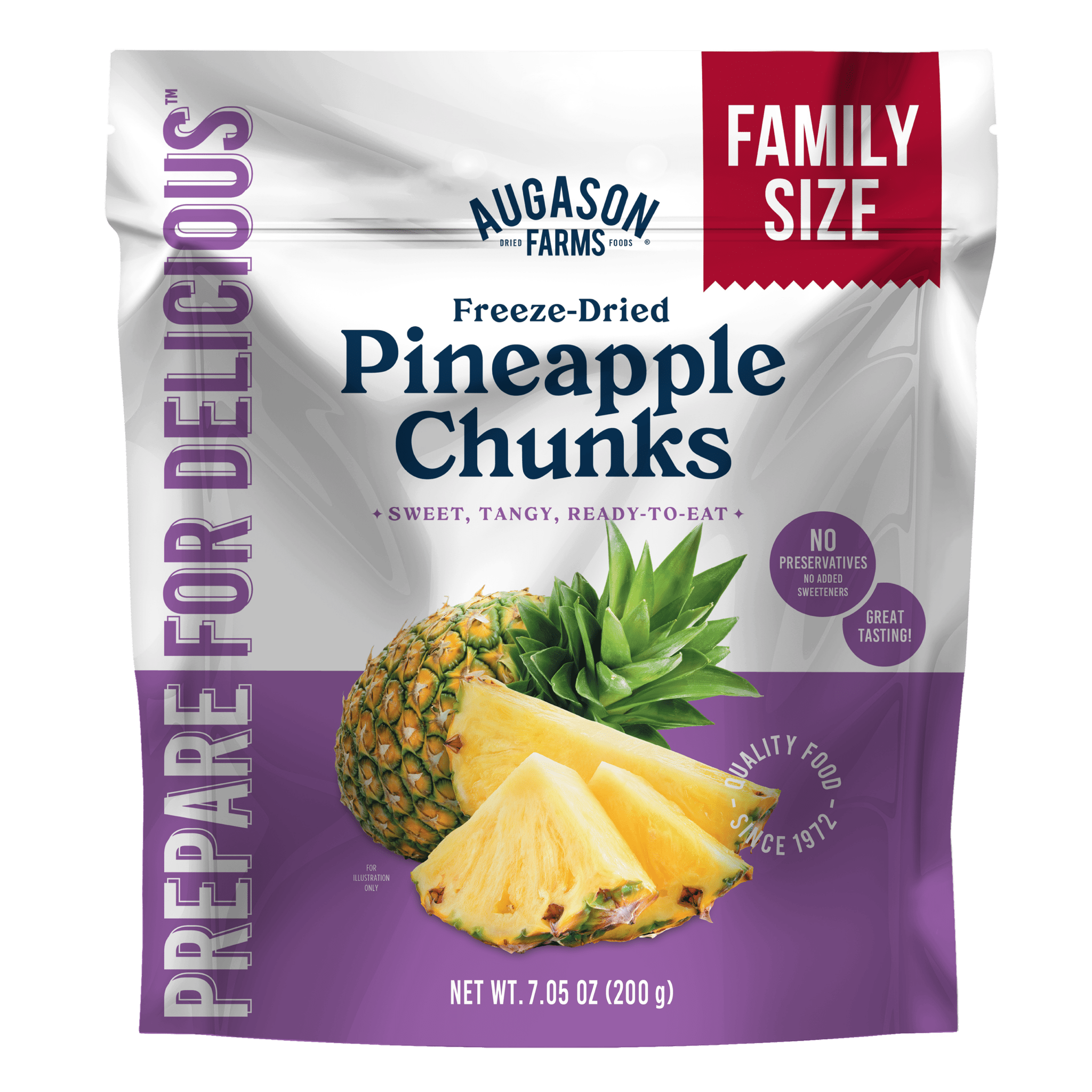 Freeze Dried Pineapple Pieces Family Size Pouch, 20 Servings (SC)