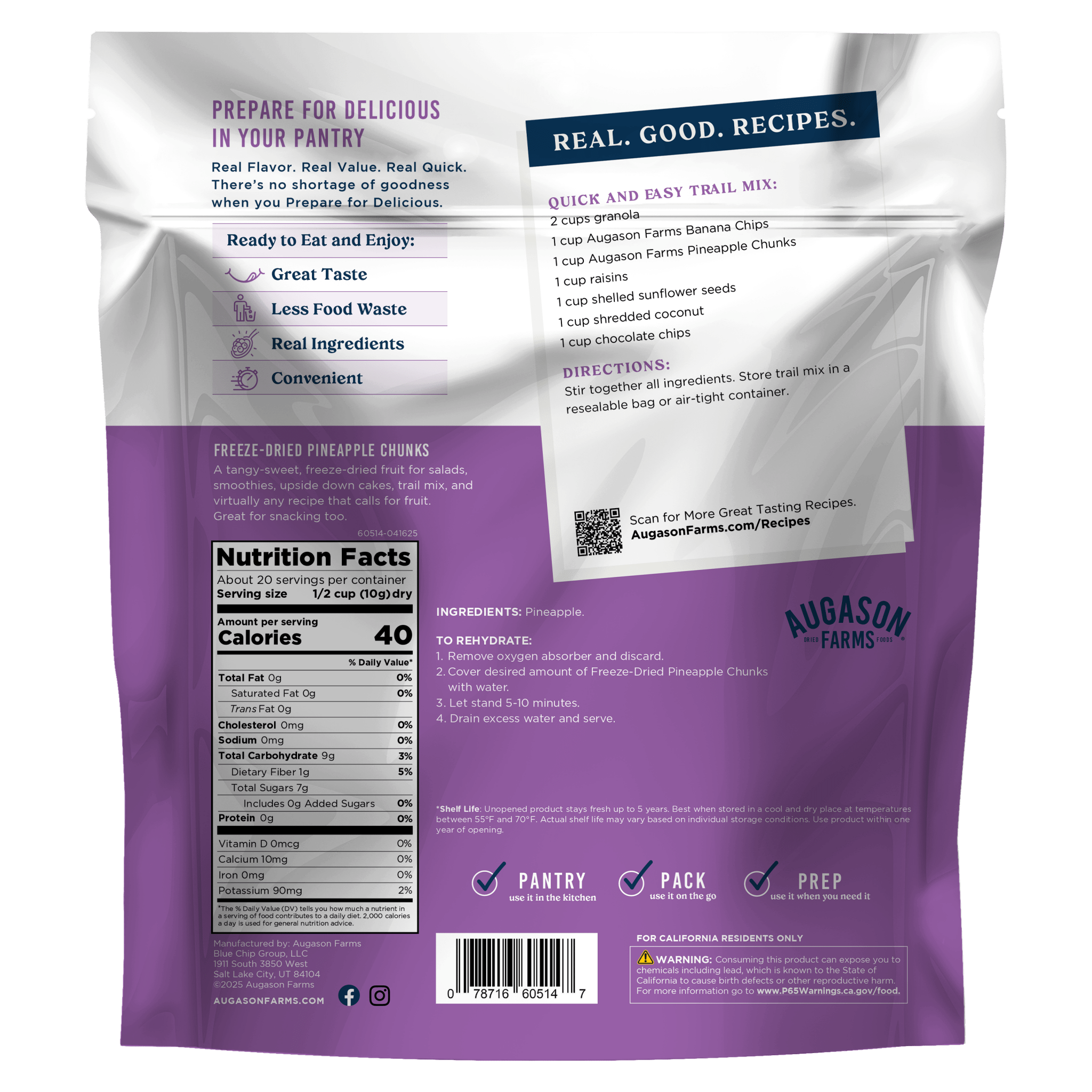 Freeze Dried Pineapple Pieces Family Size Pouch, 20 Servings (SC)