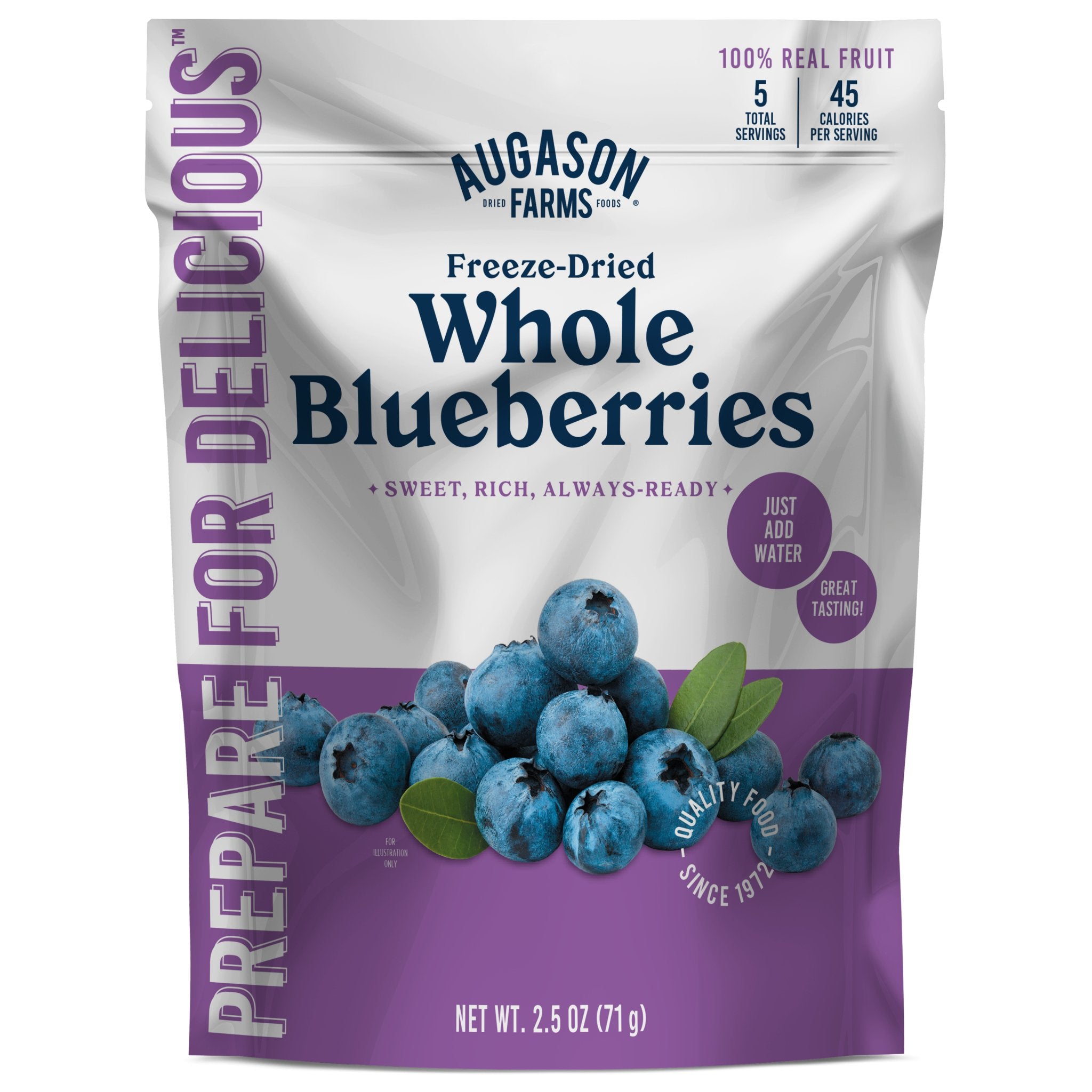 Freeze Dried Whole Blueberries Pouch, 5 Servings (SC)