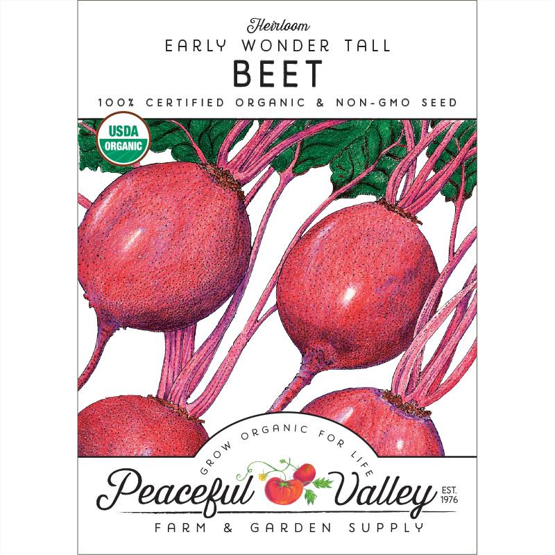 Early Wonder Tall Beet Seeds (Organic) (SC)