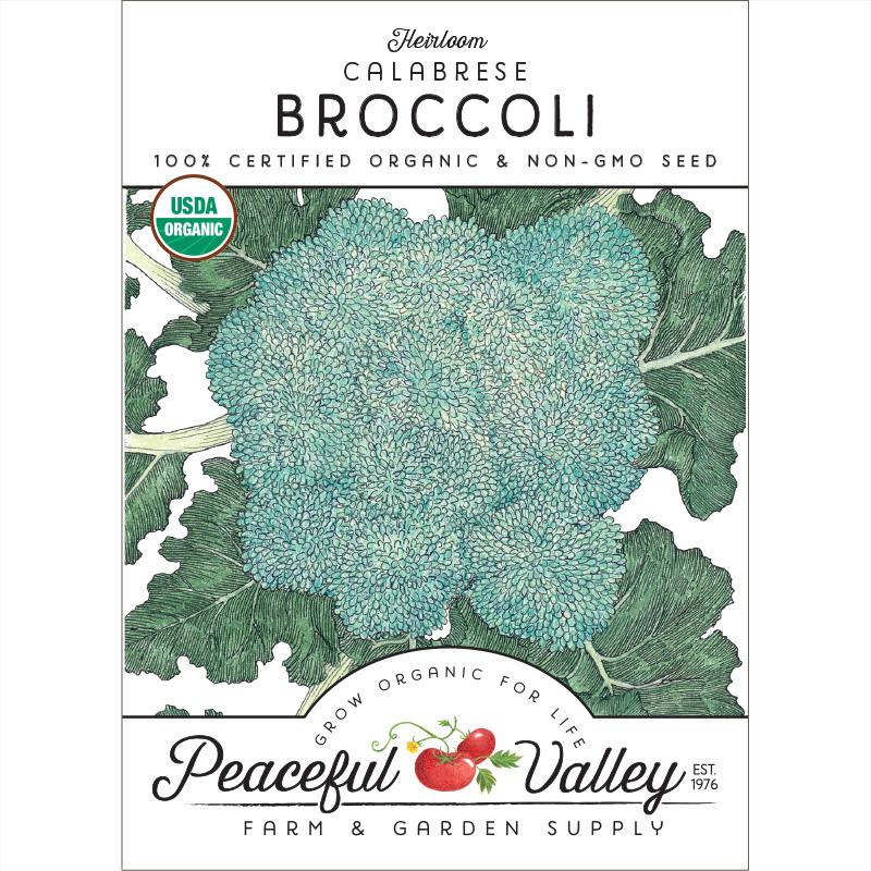 Calabrese Broccoli Seeds (Organic) (SC)