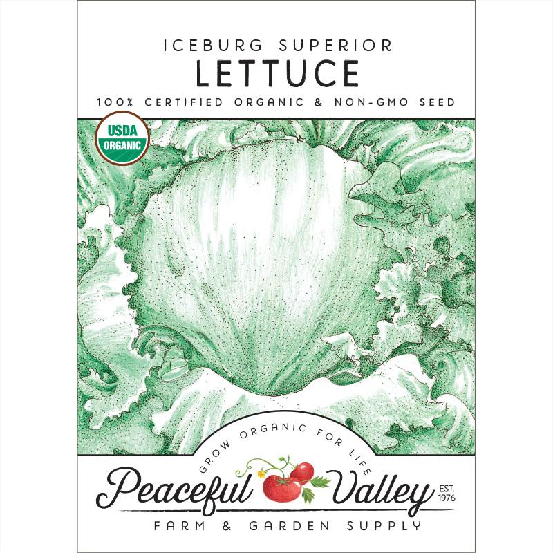 Iceberg Superior Lettuce Seeds (Organic) (SC)